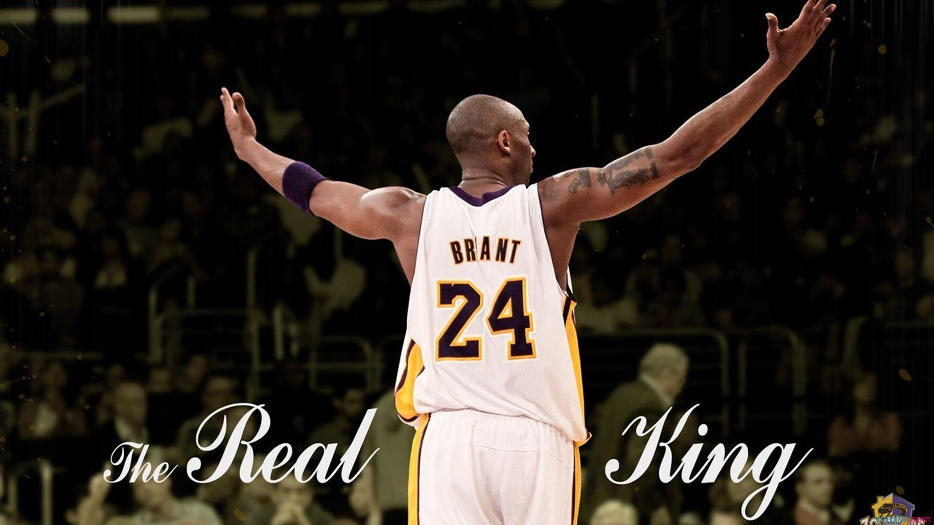 瑞士铁壁锁银河战舰，布鲁诺一剑封喉显大将风范